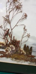 schilderij droogbloemen, Ophalen of Verzenden
