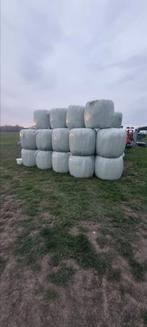 mini balen, Ophalen, Vee