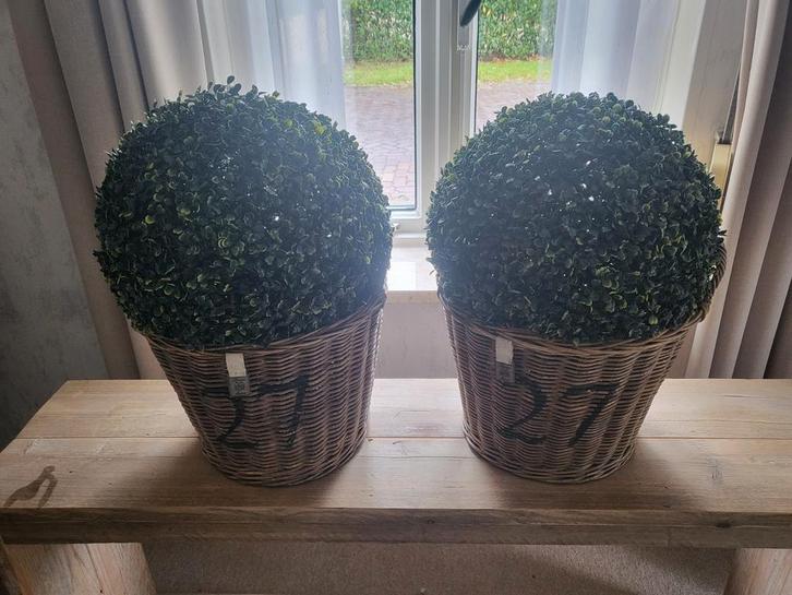 Rivera Maison Rieten Manden met Buxusbollen - 2 stuks, Huis en Inrichting, Woonaccessoires | Kunstplanten en Kunstbloemen, Zo goed als nieuw
