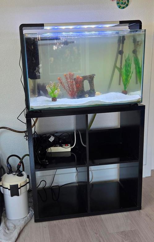 Compleet aquarium met axolotl en externe filter., Dieren en Toebehoren, Vissen | Aquaria en Toebehoren, Gebruikt, Gevuld zoetwateraquarium