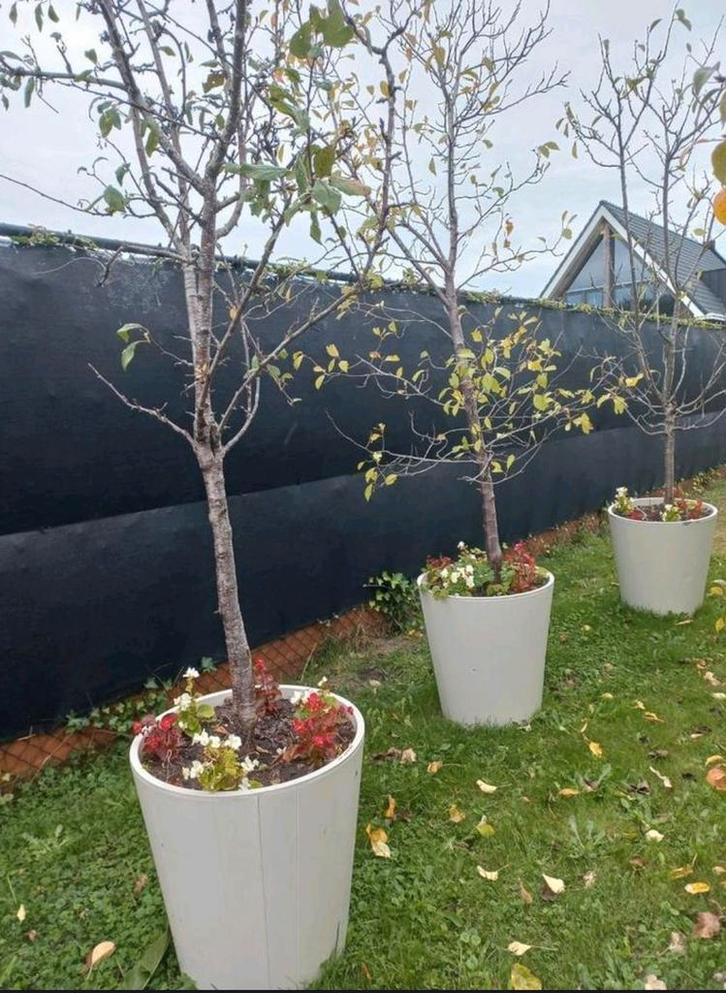 5 stuks hele grote ijzeren bloem planten bomen  bakken rond, Tuin en Terras, Bloembakken en Plantenbakken, Gebruikt, Metaal, Binnen