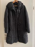 Zwarte Dames Winter Jas, Ophalen of Verzenden, Nieuw, Maat 38/40 (M), Zwart