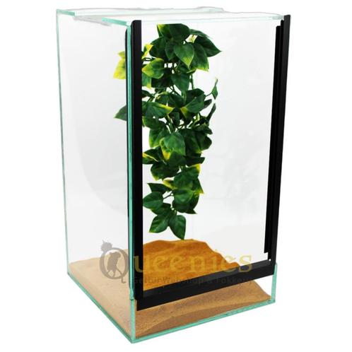 Terrarium 20x20x35 cm – Geschikt voor Spinnen of Insecten, Dieren en Toebehoren, Overige Dieren-accessoires, Nieuw, Ophalen of Verzenden