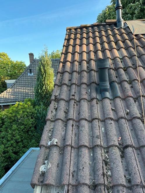 RBB Neroma, Doe-het-zelf en Verbouw, Dakpannen en Dakbedekking, Gebruikt, Dakpannen, Steen of Klei, 15 m² of meer, Ophalen