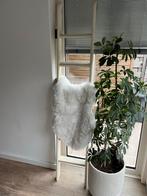 Decoratieladder - Wit Hout, Ophalen, Gebruikt