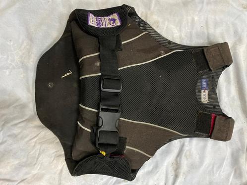 Bodyprotector, Dieren en Toebehoren, Paarden en Pony's | Beschermers, Gebruikt, Rijden, Springen, Ophalen of Verzenden