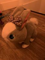 Konijn, Ophalen, Gebruikt, Meisje