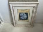 Vintage Print met Bloemmotief houten lijst, Minder dan 50 cm, Gebruikt, Ophalen of Verzenden, Print