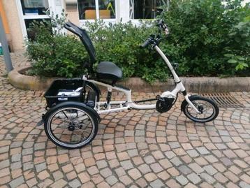 Easy Rider Pfautec topmodel met Bosch Cargoline en Rohloff beschikbaar voor biedingen