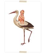 BABY OP OOIEVAAR, Ophalen of Verzenden, Nieuw