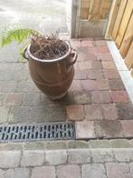 Keulse pot met varen, Tuin en Terras, Ophalen of Verzenden, Overige soorten, Volle zon