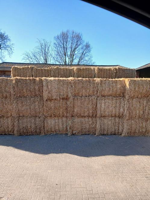 Hooi - stro - voordroog in Wuustwezel, Dieren en Toebehoren, Dierenvoeding, Vee, Ophalen of Verzenden