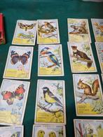 kwartet dieren papita 882, Hobby en Vrije tijd, Gezelschapsspellen | Overige, Ophalen of Verzenden, 'T Olde Gre-j, Info@toldegrej.nl