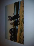 Oude ansichtkaart Markense dames, Ophalen of Verzenden, Voor 1920, Gelopen, Noord-Holland