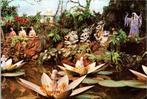 De Efteling - De Indische Waterlelies, Verzamelen, Ansichtkaarten | Nederland, Verzenden, 1960 tot 1980, Ongelopen, Noord-Brabant