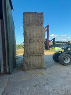 Weidehooi paardenhooi gras grote balen kleine baal, Dieren en Toebehoren, Dierenvoeding, Ophalen