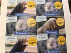 Dolfinarium korting tickets + 1x gratis entree, Drie personen of meer, Kortingsbon, Pretpark