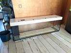 Krasvrij aquarium 180x60x40 met bijna nieuwe lamp, Dieren en Toebehoren, Vissen | Aquaria en Toebehoren, Ophalen of Verzenden