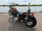 Harley-Davidson XL Hardtail 1971, 2 cilinders, Chopper, Particulier, Meer dan 35 kW