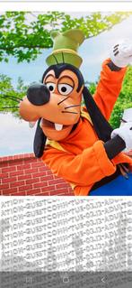 Dagpas Disneyland Parijs 3x, Drie personen of meer, Overige soorten