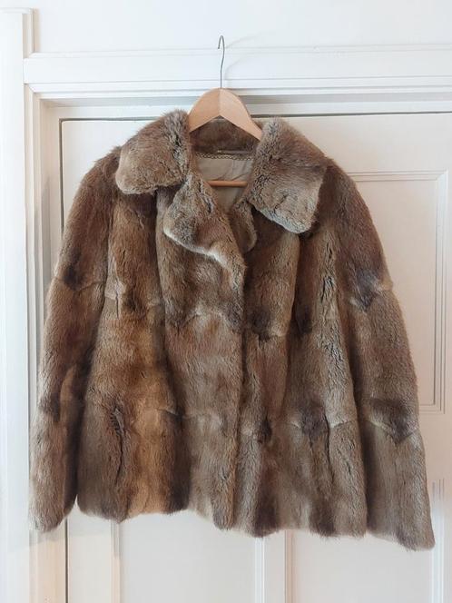 Pracht van een vintage Bisam Bontjas S / 36 / 8, Kleding | Dames, Jassen | Winter, Gedragen, Maat 36 (S), Overige kleuren, Ophalen of Verzenden