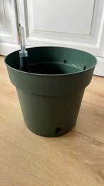 Plantenbak hydropot nieuw, Ophalen, Kunststof, Minder dan 30 cm, Minder dan 60 cm