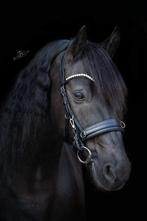 Kaptoom hoofdstel cob of full nieuw, Dieren en Toebehoren, Ophalen of Verzenden, Nieuw, Overige soorten