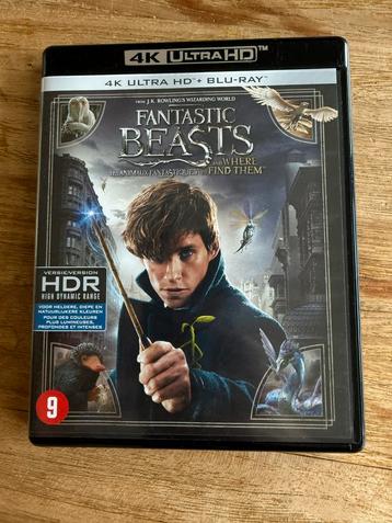 Fantastic Beasts 4K Ultra HD + Blu-ray beschikbaar voor biedingen