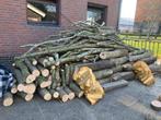 Essen haardhout voor open haard of hout kachel, 3 tot 6 m³, Ophalen, Essenhout, Blokken