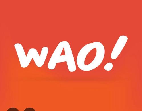 Zoek medebewoonster 30+WAO /AOWdie Duitsland GRATIS wonen, Contacten en Berichten, Huisgenoten gezocht