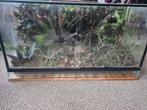 Terrarium paludarium met planten 1 meter met pomp, Dieren en Toebehoren, Reptielen en Amfibieën | Toebehoren, Ophalen of Verzenden