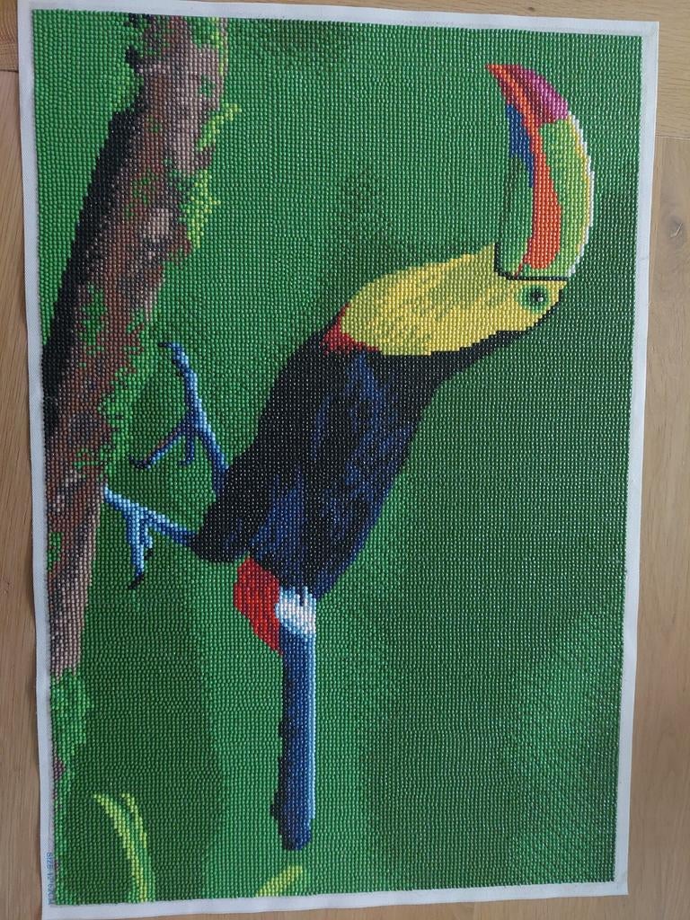 Toekan van diamand painting.maat 40 bij 60 cm, Ophalen