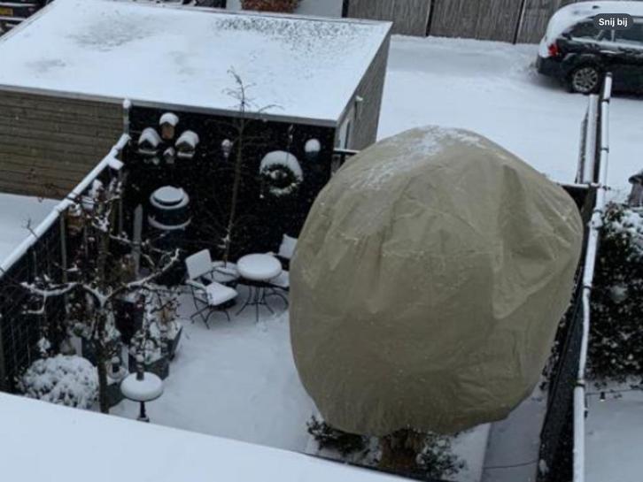 Olijfboom beschermhoes XXXL 250x350cm met rits, Tuin en Terras, Planten | Bomen, Olijfboom, 100 tot 250 cm, Volle zon, Zomer, Ophalen of Verzenden