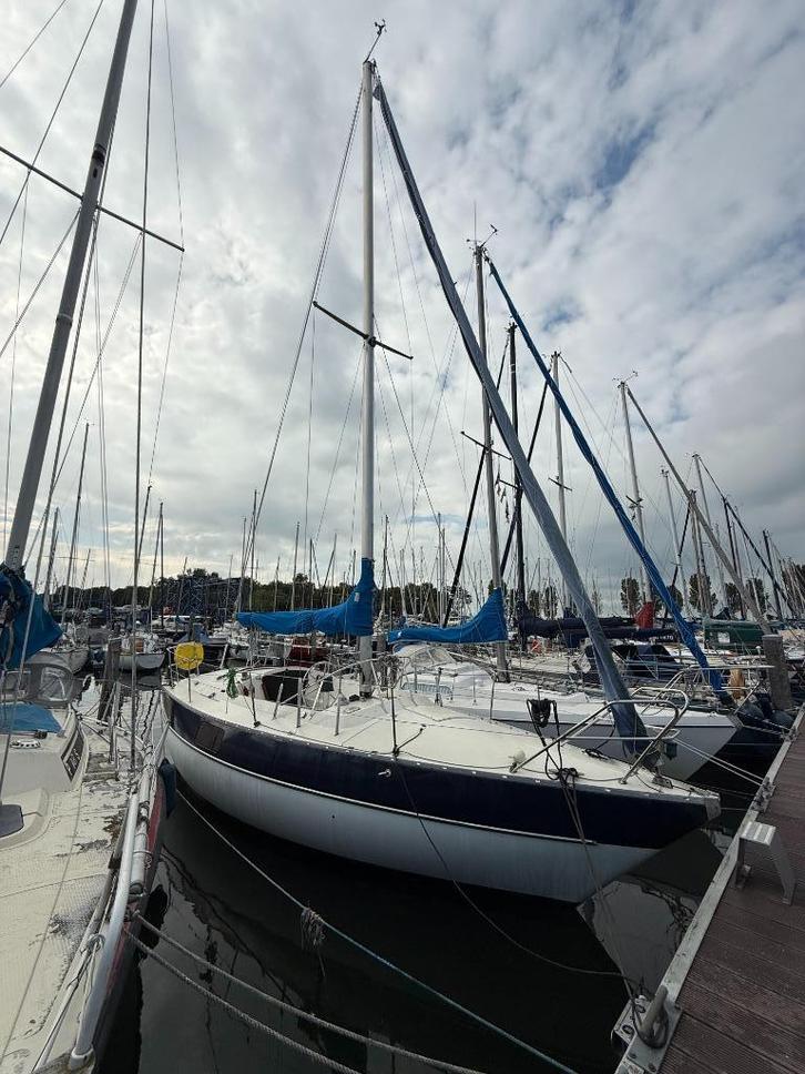 Yamaha 29 – elektrisch aangedreven zeiljacht, Watersport en Boten, Kajuitzeilboten en Zeiljachten, Gebruikt, Tourjacht of Cruiser