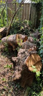 Openhaard hout, Minder dan 3 m³, Ophalen, Overige houtsoorten, Blokken
