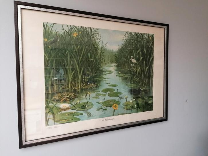 Schoolplaat Naardermeer, Antiek en Kunst, Kunst | Schilderijen | Abstract, Ophalen