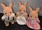 Sylvanian Families familie Kangoeroe 5272, Verzamelen, Ophalen of Verzenden, Zo goed als nieuw