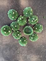 Decoratie materiaal grasbollen, Ophalen, Zo goed als nieuw