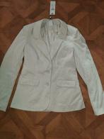 Vero Moda Lana Lurex Blazer maat S Nieuw( officieel maat M), Kleding | Dames, Vero Moda, Nieuw, Ophalen of Verzenden, Jasje