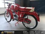 Motori Paglianti 48cc LT553, Gebruikt, Motori