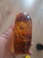 Wesp in hars, Ophalen of Verzenden