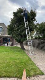 Gieserwildemanstoofperen uit een oude boom. Onbespoten, Ophalen
