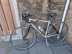 Racefiets:  Trek race pilot 2.1 shimano ultegra 105, Overige merken, Gebruikt, Carbon, 10 tot 15 versnellingen