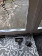 Yepp Windscherm Fietsstoeltje + Adapter, Ophalen, Gebruikt, Voorzitje, Yepp