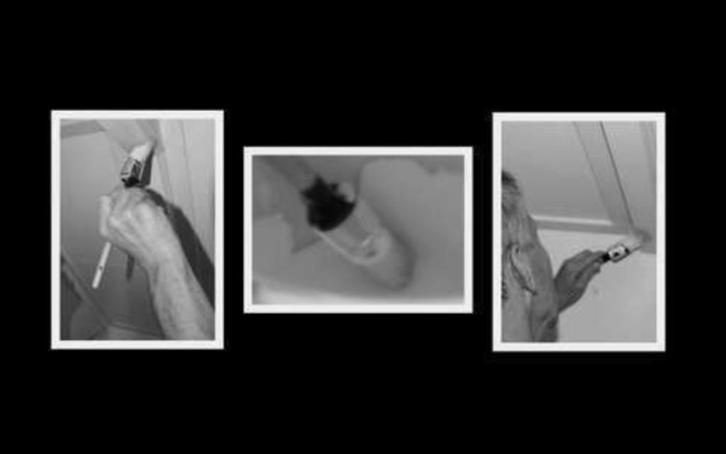 Schilder, Diensten en Vakmensen, Schilders en Behangers, Binnenschilderwerk, Buitenschilderwerk, Kleuradvies