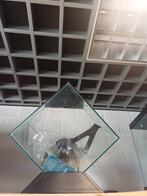 Ciano aquarium, Ophalen of Verzenden, Zo goed als nieuw, Leeg aquarium