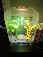 Biorb aquarium, Dieren en Toebehoren, Vissen | Aquaria en Toebehoren, Ophalen of Verzenden, Zo goed als nieuw, Leeg aquarium