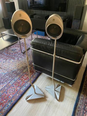 Kef  beschikbaar voor biedingen