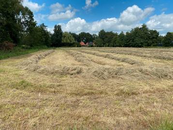 Midi balen (Hooi) beschikbaar voor biedingen