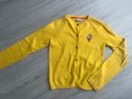 Vestje Tumble ‘n dry maat 134/140 geel, Tumble 'n Dry, Gebruikt, Meisje, Trui of Vest
